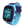 LT31 blue (1)